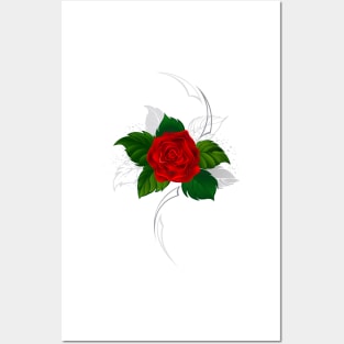 Blooming red rose ( Tattoo style ) Posters and Art